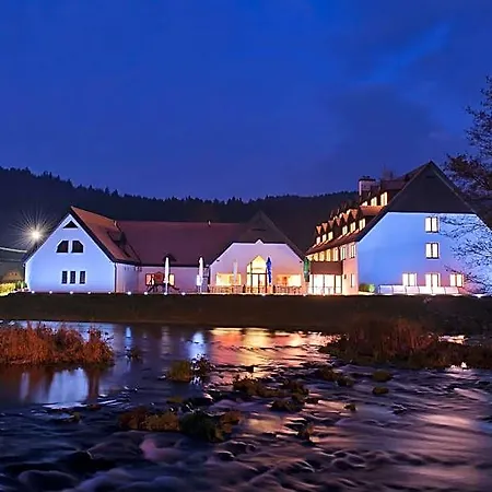 Hotel Hotel Vir Vír
