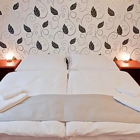 Hotel Vir Hotel Vír