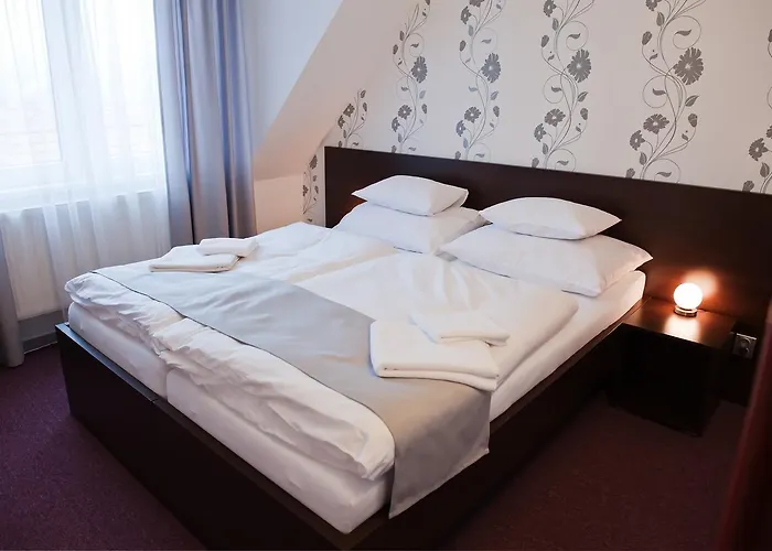 Hotel Vir Hotel