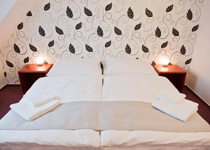 Hotel Hotel Vir 3*