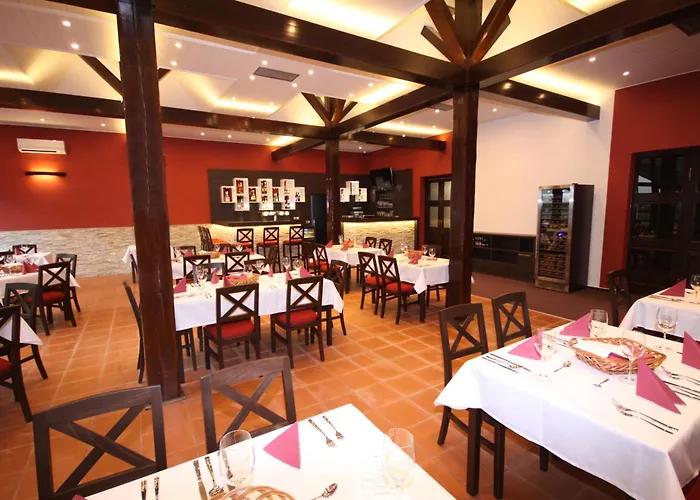 Hotel Vir