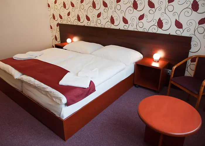 Hotel Hotel Vir Vír